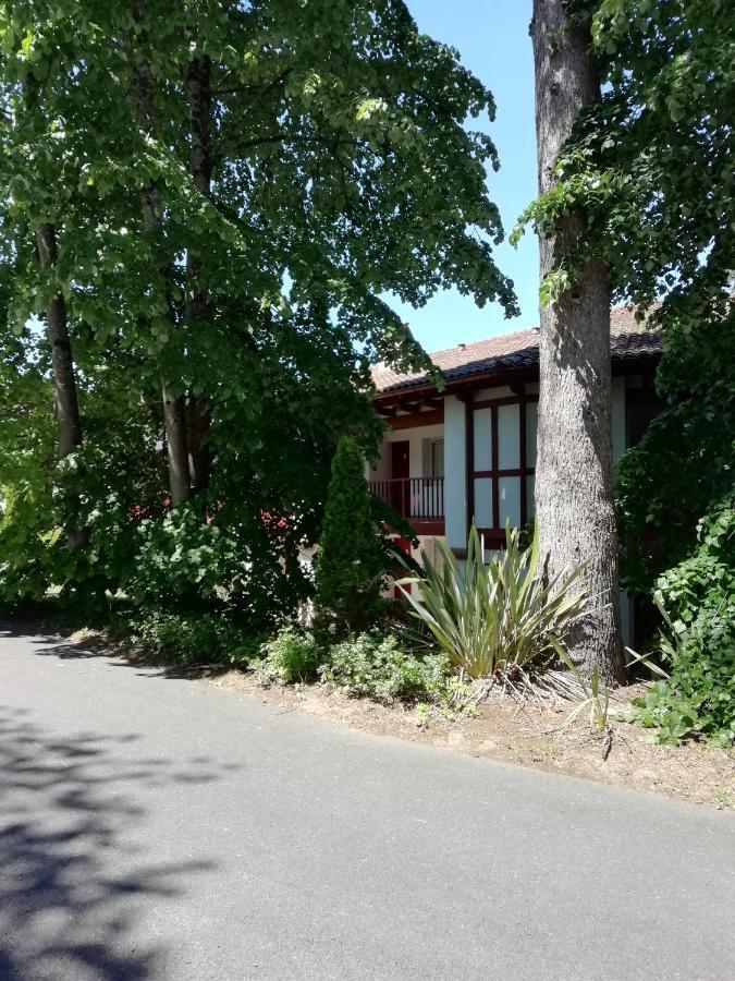 Appartement Le Parc D Arradoy Saint-Jean-Pied-de-Port Eksteriør bilde